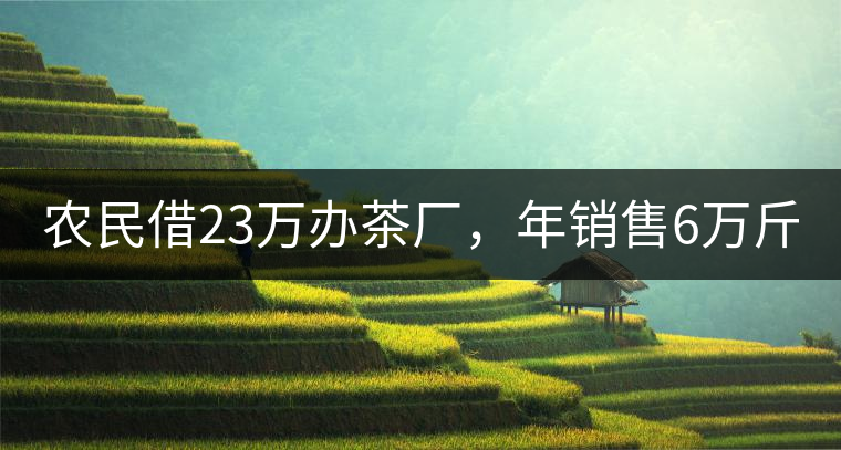 農(nóng)民借23萬辦茶廠，年銷售6萬斤，每天休息僅20分鐘!農(nóng)民借23萬辦茶廠，年銷售6萬斤，每天休息僅20分鐘！