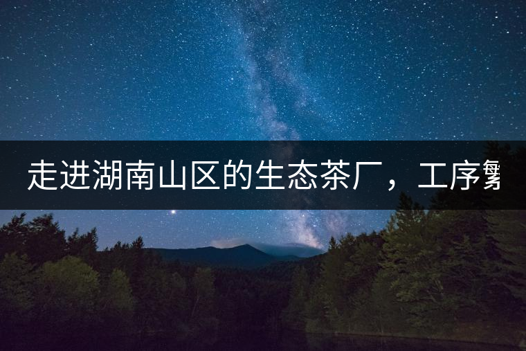 走進(jìn)湖南山區(qū)的生態(tài)茶廠，工序繁雜精細(xì)，538塊錢(qián)1斤真值走進(jìn)湖南山區(qū)的生態(tài)茶廠，工序繁雜精細(xì)，538塊錢(qián)1斤真值