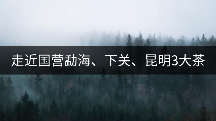 走近國營勐海、下關(guān)、昆明3大茶廠，傳世代表作的發(fā)展詳...走近國營勐海、下關(guān)、昆明3大茶廠，傳世代表作的發(fā)展詳解