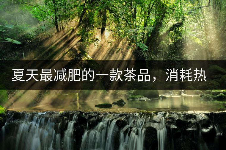 夏天最減肥的一款茶品，消耗熱量，此茶燃燒你的卡路里