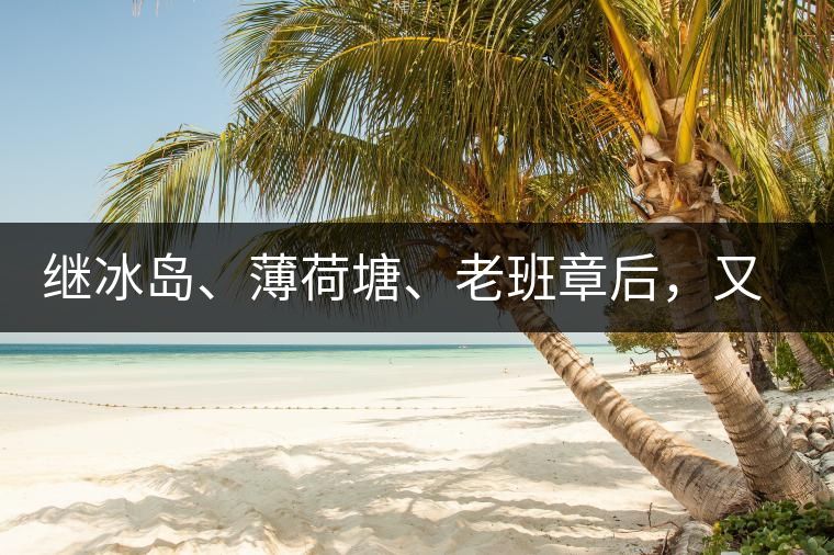 繼冰島、薄荷塘、老班章后，又一個被追捧的山頭茶火了！