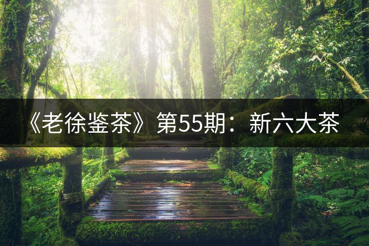《老徐鑒茶》第55期:新六大茶山景邁山2017年普洱茶生茶品鑒報(bào)告 《老徐鑒茶》第55期:新六大茶山景邁山2017年普洱茶生茶品鑒報(bào)告