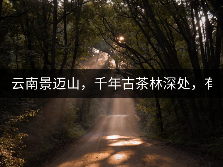 云南景邁山，千年古茶林深處，有一座世外桃源般的糯...云南景邁山，千年古茶林深處，有一座世外桃源般的糯干古寨