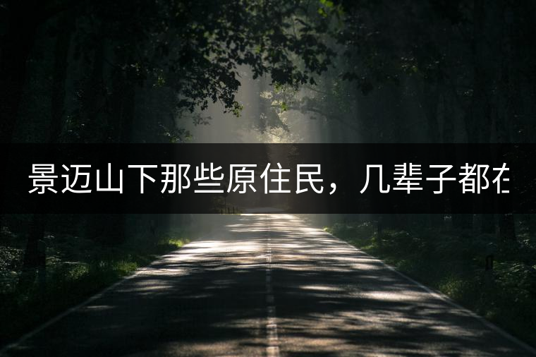 景邁山下那些原住民，幾輩子都在采茶、制茶，才有最...景邁山下那些原住民，幾輩子都在采茶、制茶，才有最好喝的普洱