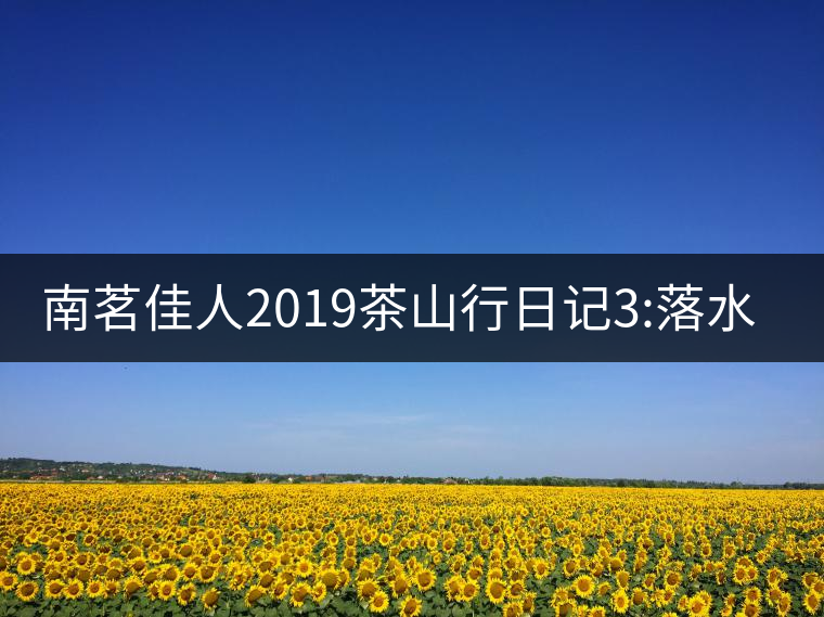 南茗佳人2019茶山行日記3:落水洞--200多年建村歷史，...南茗佳人2019茶山行日記3：落水洞——200多年建村歷史，靈動清越