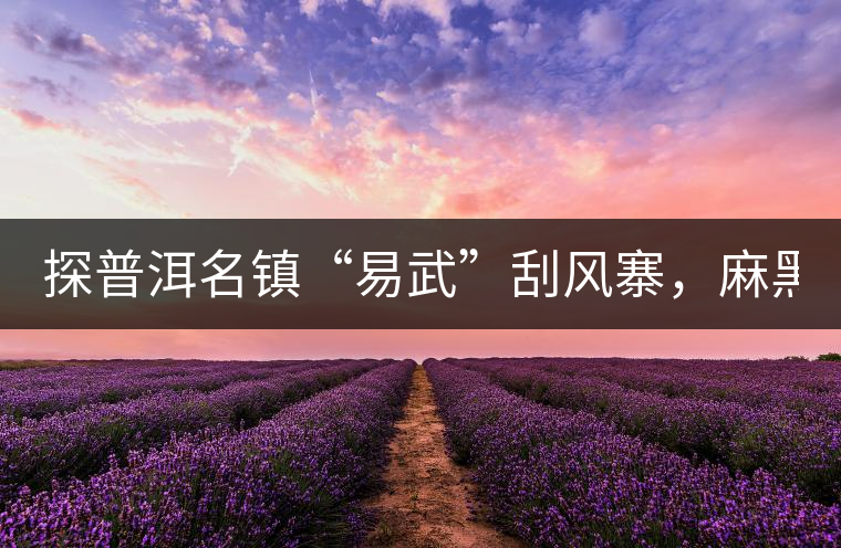 探普洱名鎮(zhèn)“易武”刮風寨，麻黑，落水洞!小編親自下...探普洱名鎮(zhèn)“易武”刮風寨，麻黑，落水洞！小編親自下手“殺青”