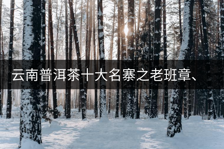 云南普洱茶十大名寨之老班章、那卡、冰島、刮風(fēng)寨、彎弓特點(diǎn)介紹