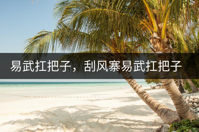 易武扛把子，刮風(fēng)寨易武扛把子，刮風(fēng)寨