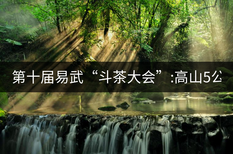 第十屆易武“斗茶大會”:高山5公斤15萬，刮風(fēng)寨5公斤...第十屆易武“斗茶大會”：高山5公斤15萬，刮風(fēng)寨5公斤30萬...