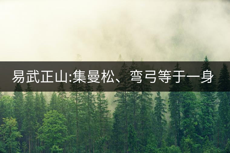 易武正山:集曼松、彎弓等于一身的貴族老黃片，好喝沒得...易武正山：集曼松、彎弓等于一身的貴族老黃片，好喝沒得說(shuō)