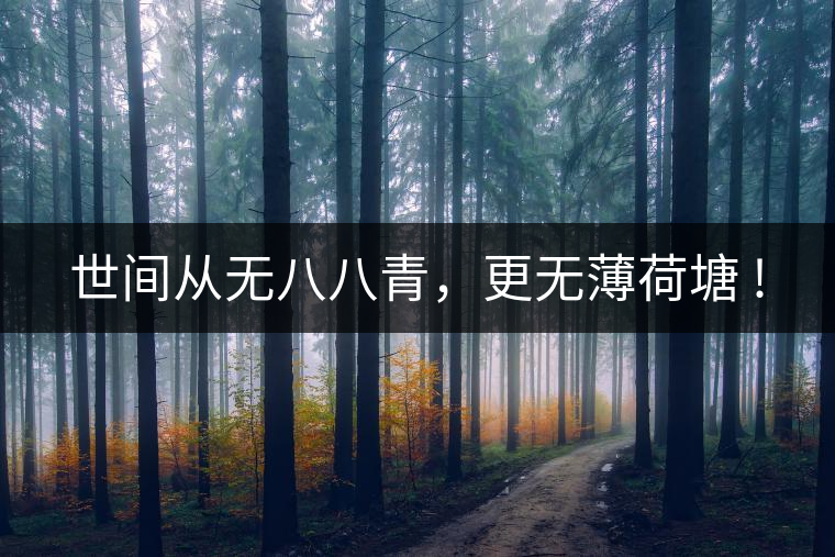 世間從無八八青，更無薄荷塘 !