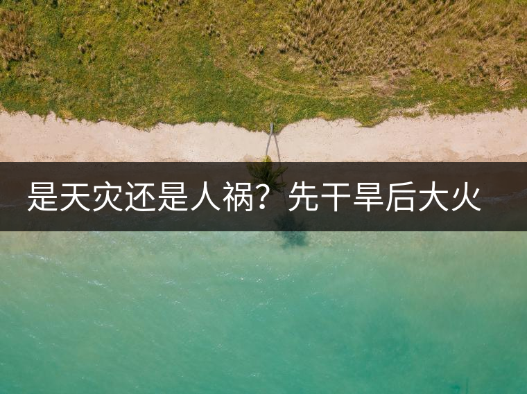 是天災(zāi)還是人禍？先干旱后大火，普洱茶將何去何從？