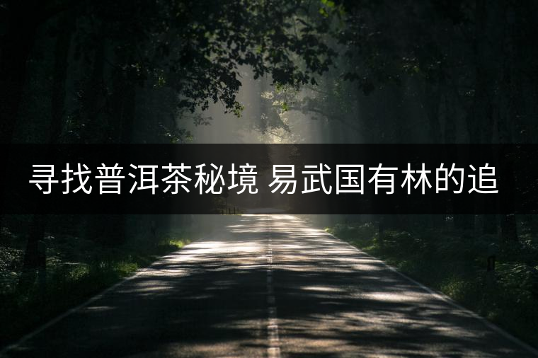 尋找普洱茶秘境 易武國(guó)有林的追逐戰(zhàn)尋找普洱茶秘境 易武國(guó)有林的追逐戰(zhàn) 尋找普洱茶秘境 易武國(guó)有林的追逐戰(zhàn)尋找普洱茶秘境 易武國(guó)有林的追逐戰(zhàn)