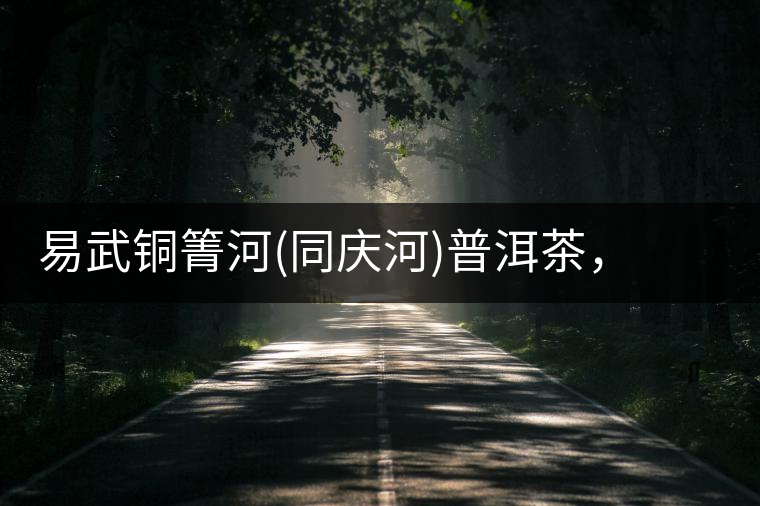 易武銅箐河(同慶河)普洱茶，讓我拜倒的不止它的口感易武銅箐河（同慶河）普洱茶，讓我拜倒的不止它的口感