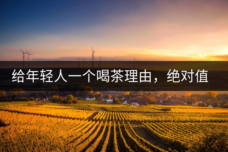 給年輕人一個喝茶理由，絕對值得收藏的茶葉包裝給年輕人一個喝茶理由，絕對值得收藏的茶葉包裝