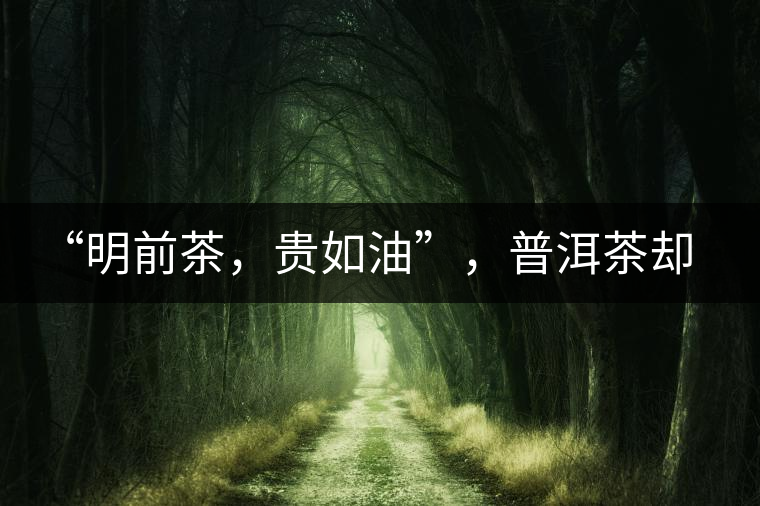 “明前茶，貴如油”，普洱茶卻不這么認為“明前茶，貴如油”，普洱茶卻不這么認為