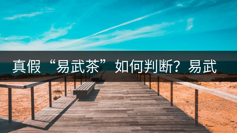 真假“易武茶”如何判斷？易武普洱茶有哪些特點(diǎn)？