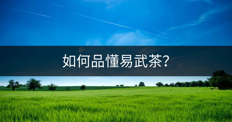 如何品懂易武茶？