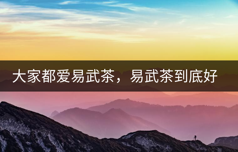 大家都愛(ài)易武茶，易武茶到底好在哪兒?大家都愛(ài)易武茶，易武茶到底好在哪兒？