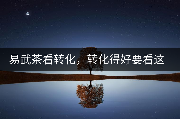 易武茶看轉(zhuǎn)化，轉(zhuǎn)化得好要看這三要素及品牌優(yōu)勢(shì)！