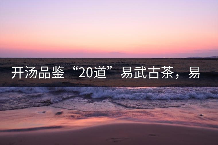 開湯品鑒“20道”易武古茶，易武茶特征你知道多少？