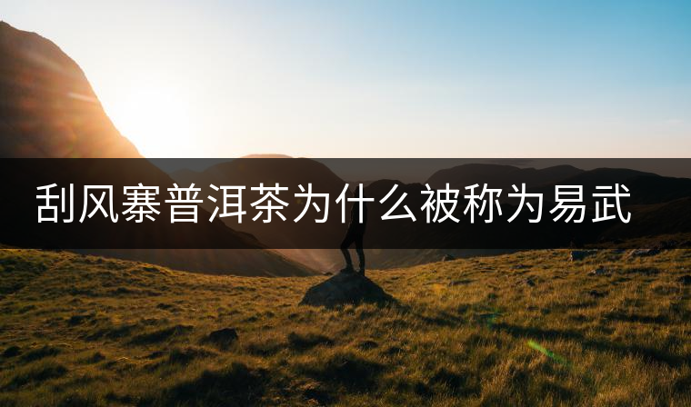 刮風(fēng)寨普洱茶為什么被稱(chēng)為易武茶王？