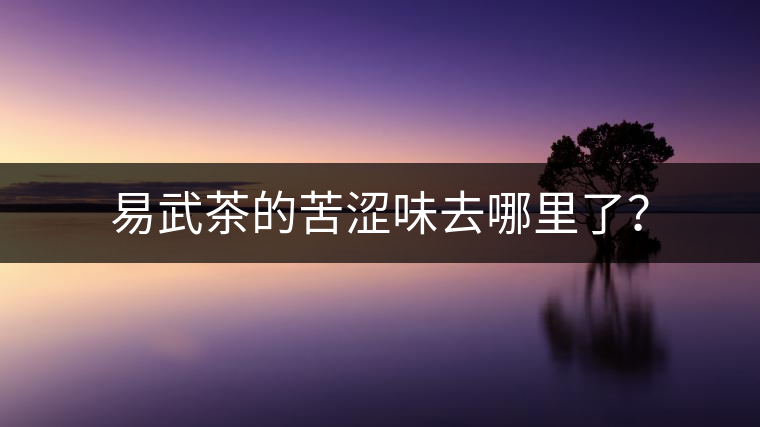 易武茶的苦澀味去哪里了？