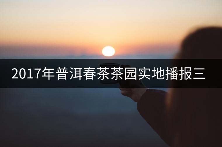 2017年普洱春茶茶園實(shí)地播報(bào)三——勐庫大雪山 2017年普洱春茶茶園實(shí)地播報(bào)三——勐庫大雪山