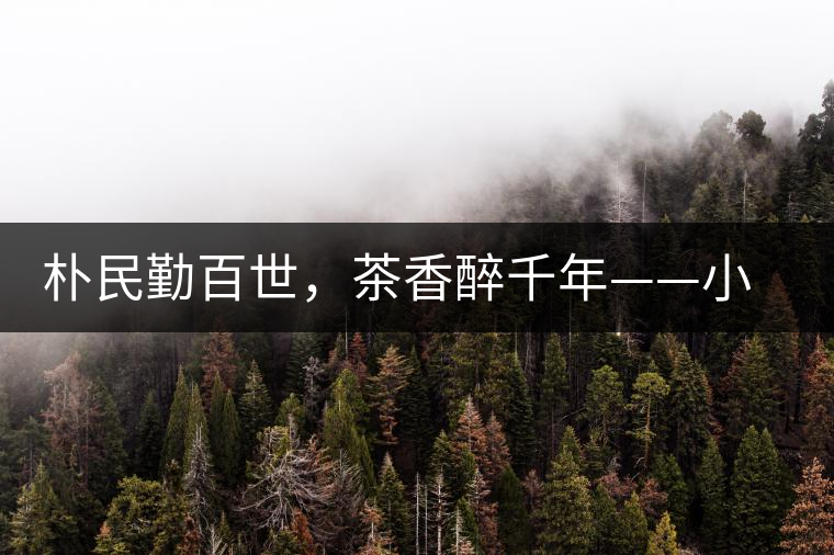 樸民勤百世，茶香醉千年——小戶賽古寨