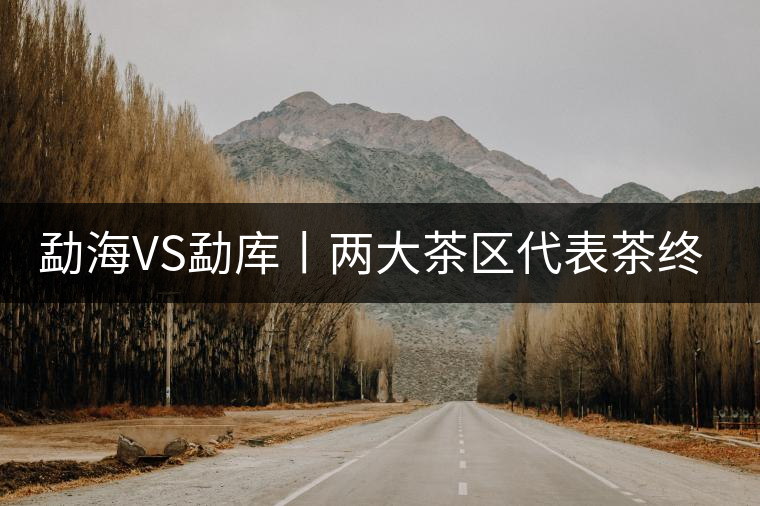 勐海VS勐庫丨兩大茶區(qū)代表茶終極PK 勐海VS勐庫丨兩大茶區(qū)代表茶終極PK