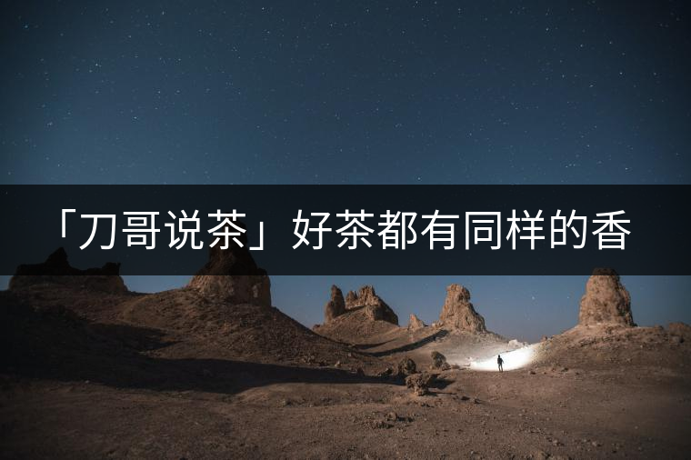 「刀哥說茶」好茶都有同樣的香，破茶卻有不同的味