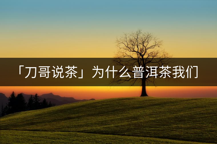 「刀哥說(shuō)茶」為什么普洱茶我們情愿選三無(wú)？