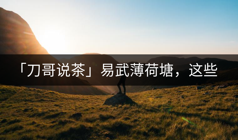 「刀哥說(shuō)茶」易武薄荷塘，這些冷知識(shí)你該知道