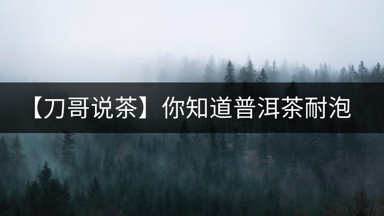 【刀哥說茶】你知道普洱茶耐泡，那你知道哪一類普洱茶比較耐泡？