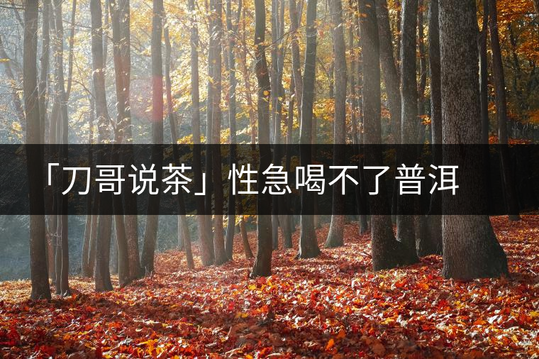 「刀哥說茶」性急喝不了普洱熟茶 「刀哥說茶」性急喝不了普洱熟茶