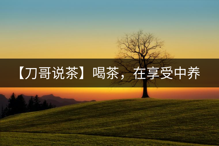 【刀哥說(shuō)茶】喝茶，在享受中養(yǎng)生的最佳選擇