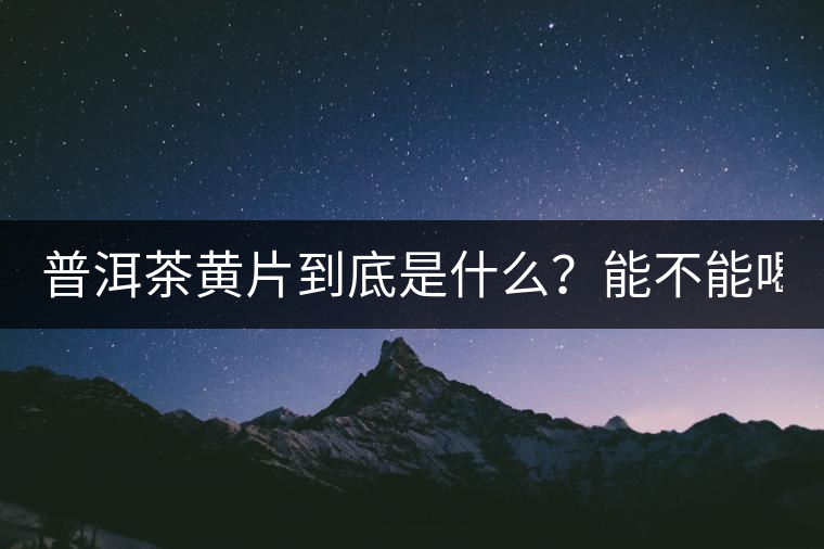 普洱茶黃片到底是什么？能不能喝？