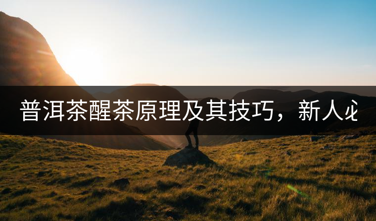 普洱茶醒茶原理及其技巧，新人必備！