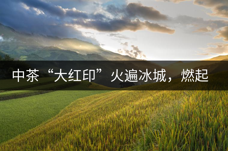 中茶“大紅印”火遍冰城，燃起普洱茶新味蕾
