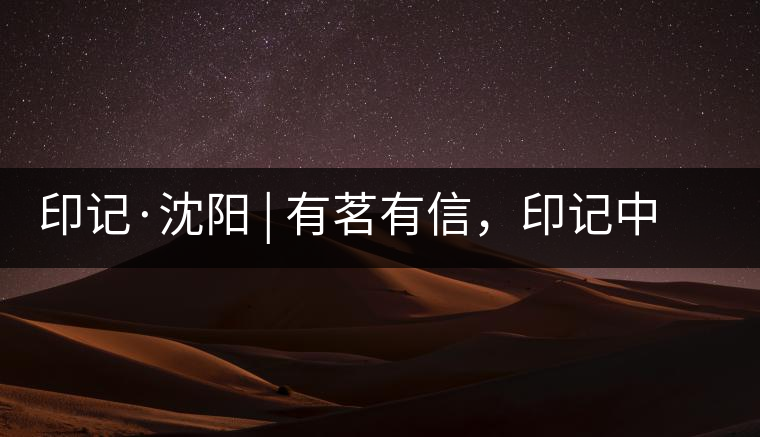 印記·沈陽 | 有茗有信，印記中茶，中茶普洱亮相沈陽茶博會(huì)
