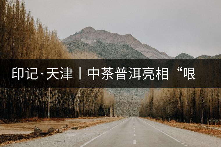 印記·天津丨中茶普洱亮相“哏都”茶博會(huì) 印記·天津丨中茶普洱亮相“哏都”茶博會(huì)