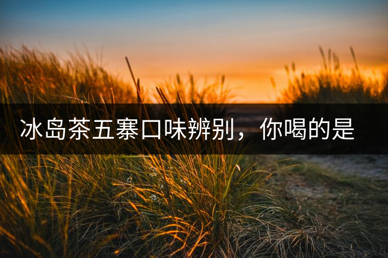 冰島茶五寨口味辨別，你喝的是正宗冰島茶嗎?冰島茶五寨口味辨別，你喝的是正宗冰島茶嗎？