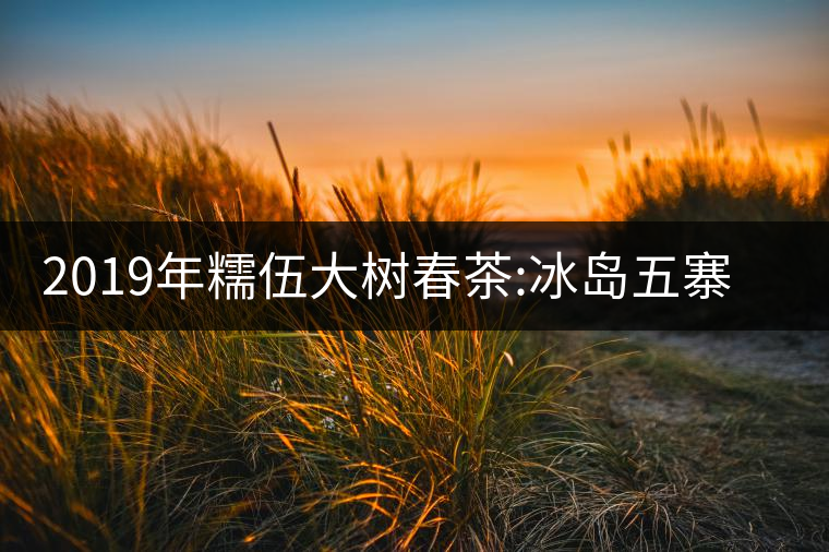 2019年糯伍大樹春茶:冰島五寨甜柔口感的代表，售價不...2019年糯伍大樹春茶：冰島五寨甜柔口感的代表，售價不到500