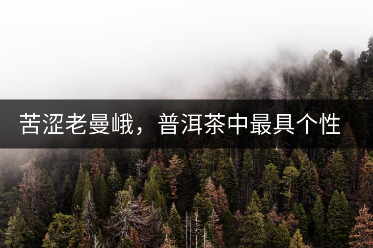 苦澀老曼峨，普洱茶中最具個(gè)性的“布朗味”苦澀老曼峨，普洱茶中最具個(gè)性的“布朗味”