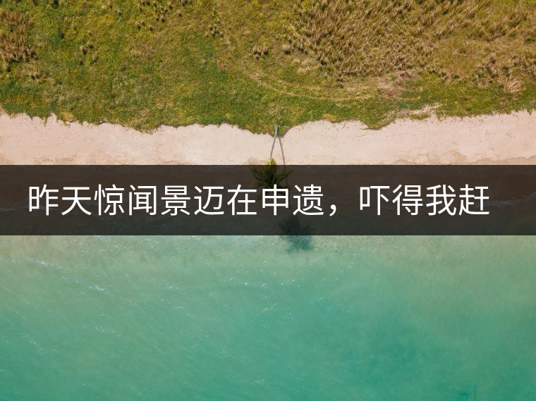 昨天驚聞景邁在申遺，嚇得我趕緊拿出景邁茶……昨天驚聞景邁在申遺，嚇得我趕緊拿出景邁茶……