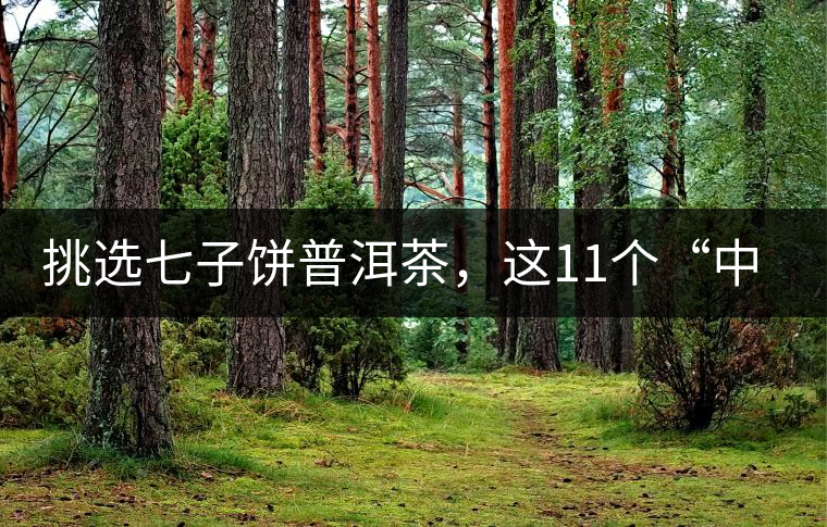 挑選七子餅普洱茶，這11個“中茶”標志千萬別弄混!挑選七子餅普洱茶，這11個“中茶”標志千萬別弄混！