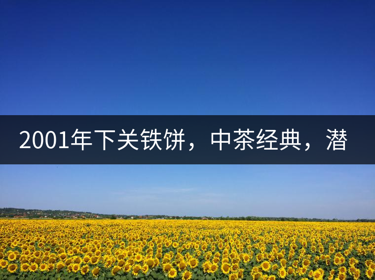2001年下關(guān)鐵餅，中茶經(jīng)典，潛力可期!