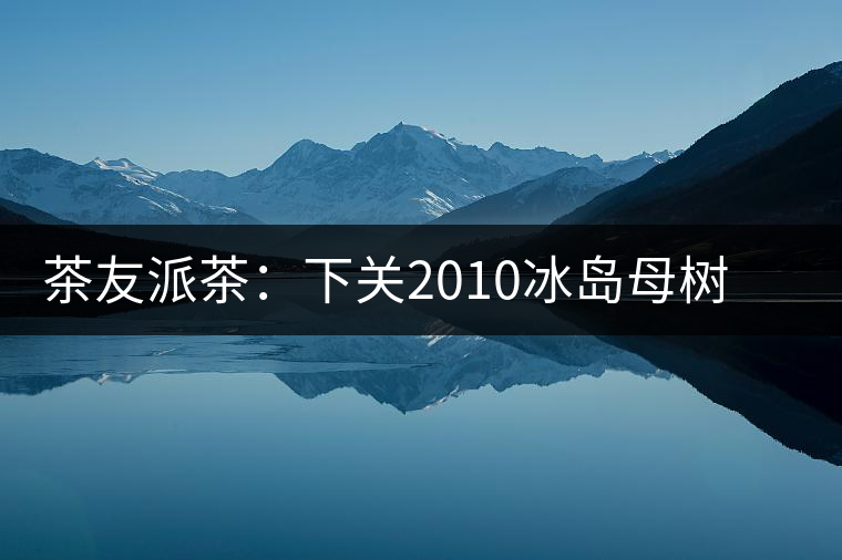 茶友派茶：下關(guān)2010冰島母樹，挺甜的，母樹是個什么概念？