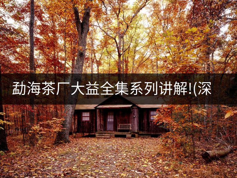 勐海茶廠大益全集系列講解!(深度講解大益茶品，建議收藏...勐海茶廠大益全集系列講解?。ㄉ疃戎v解大益茶品，建議收藏）