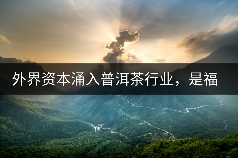 外界資本涌入普洱茶行業(yè)，是福還是禍？